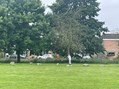 IMG_9378