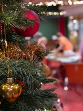 PXL_20251215_083723597.PORTRAIT