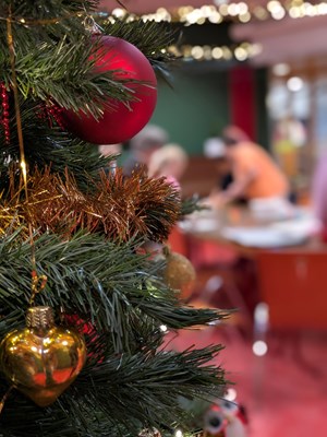 PXL_20251215_083723597.PORTRAIT