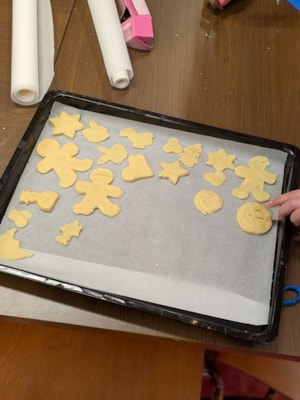 PXL_20251215_084854852.PORTRAIT